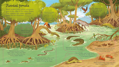 LOOK INSIDE SEAS AND OCEANS