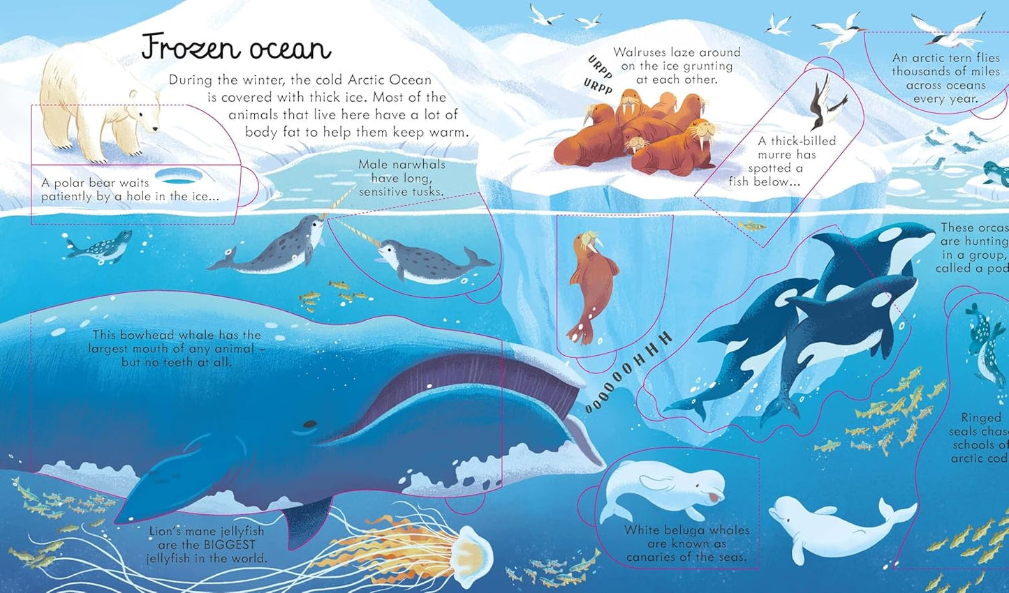 LOOK INSIDE SEAS AND OCEANS