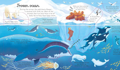 LOOK INSIDE SEAS AND OCEANS