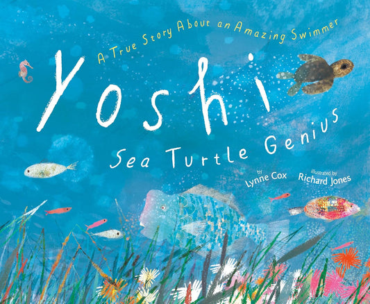 YOSHI SEA TURTLE GENIUS