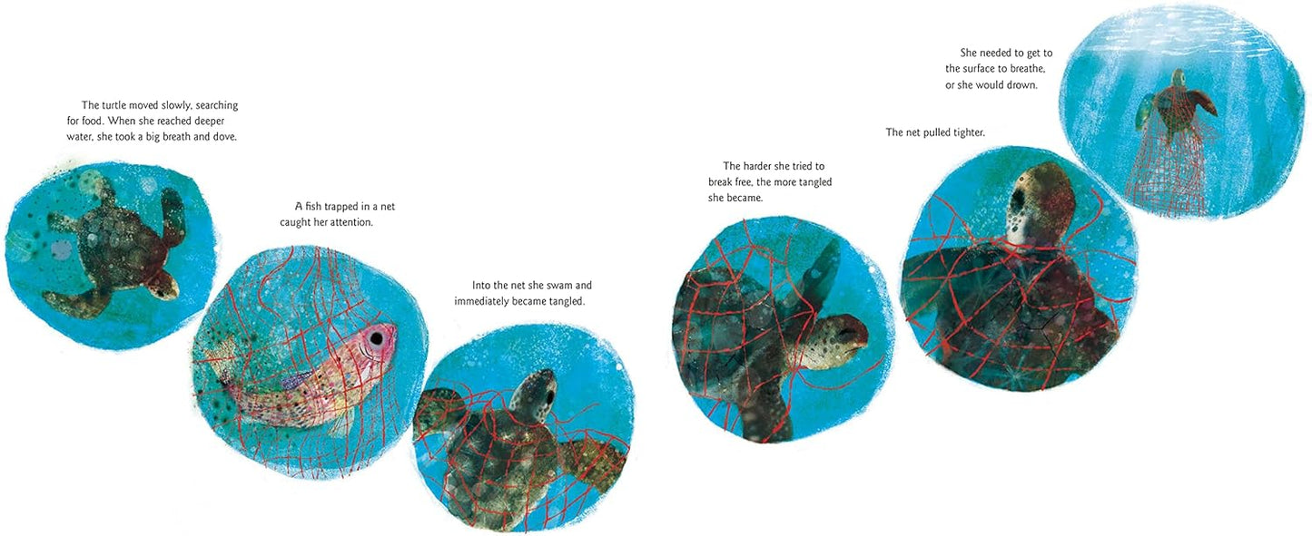 YOSHI SEA TURTLE GENIUS