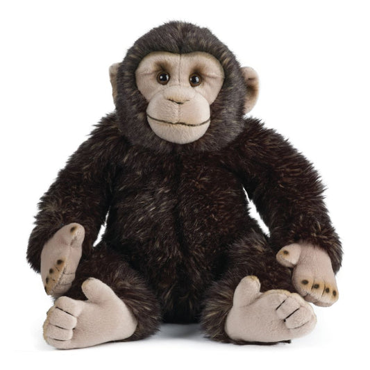 CHIMPANZEE