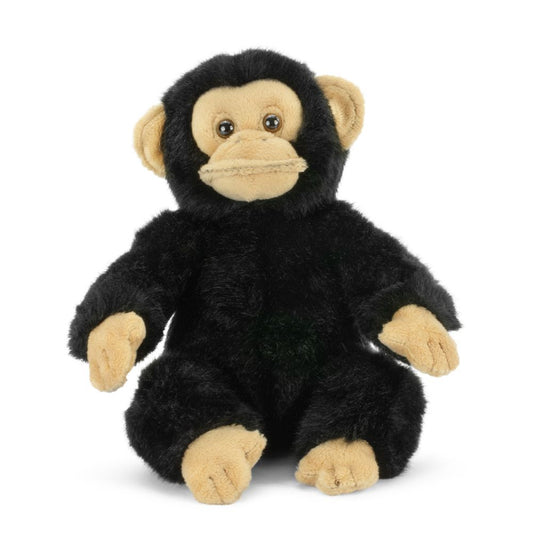 BABY CHIMP