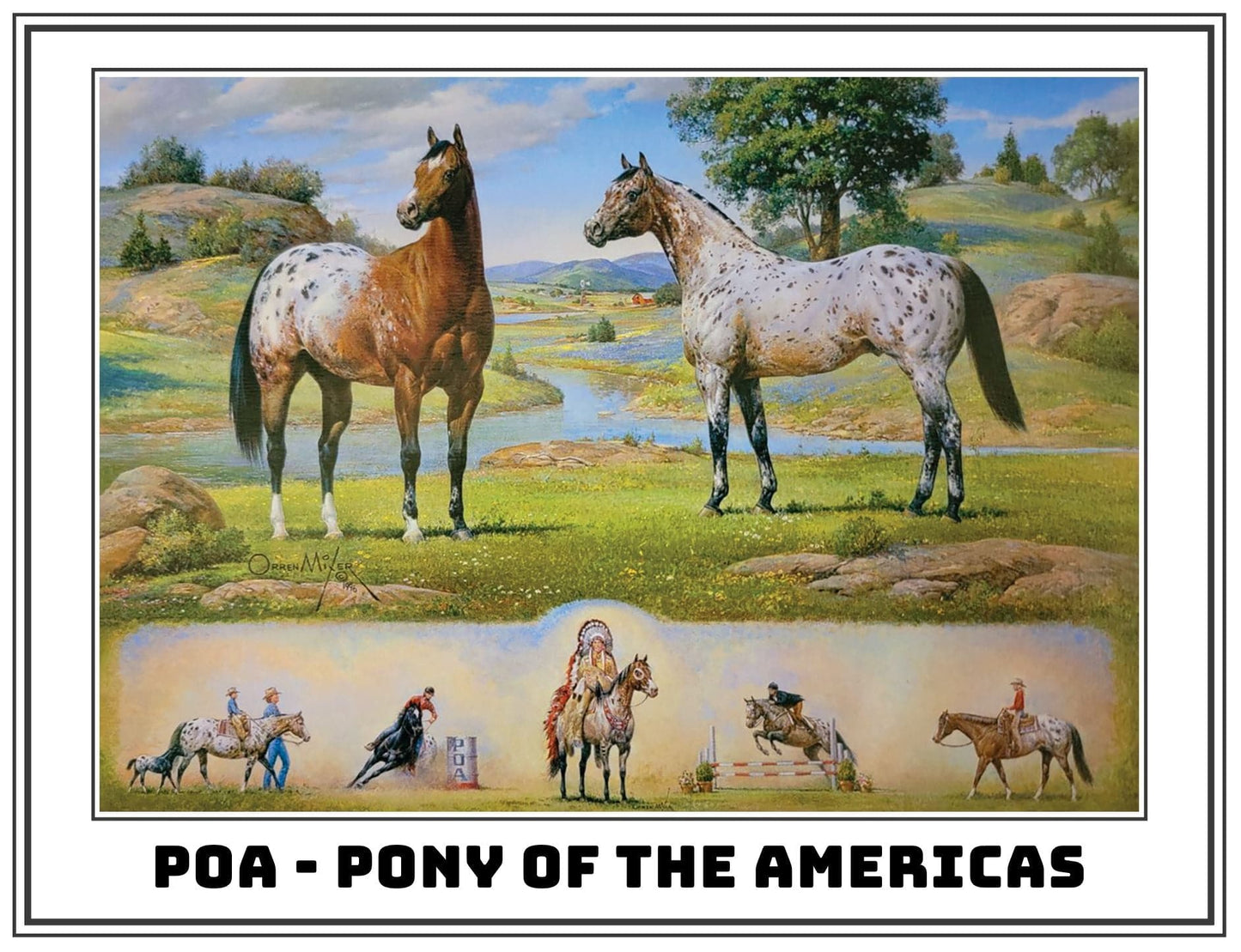 PONY OF THE AMERICAS