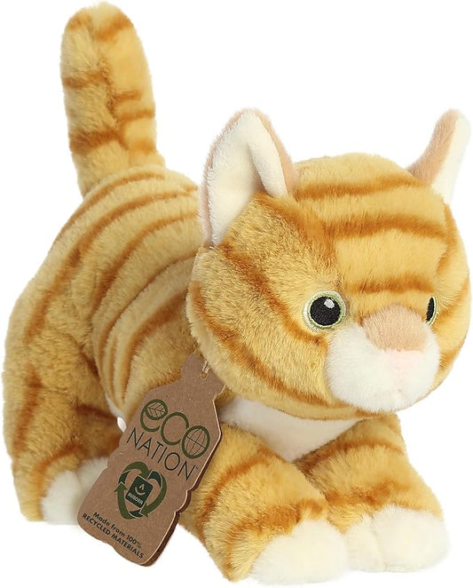 ORANGE TABBY ECO