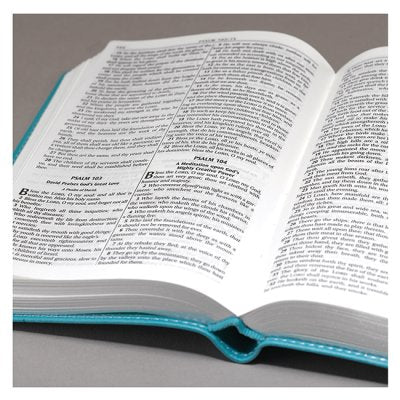 THE HOLY BIBLE