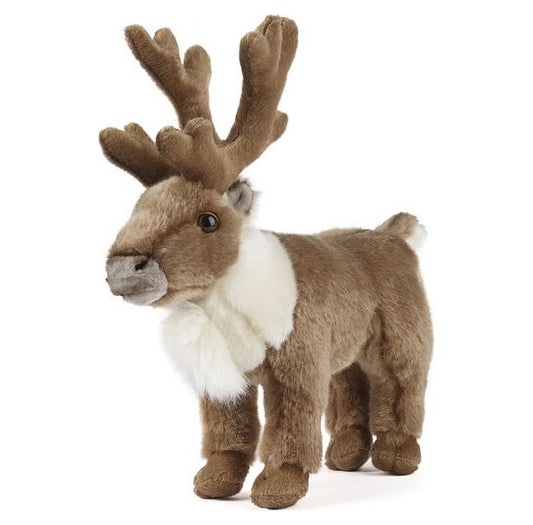 REINDEER STANDING