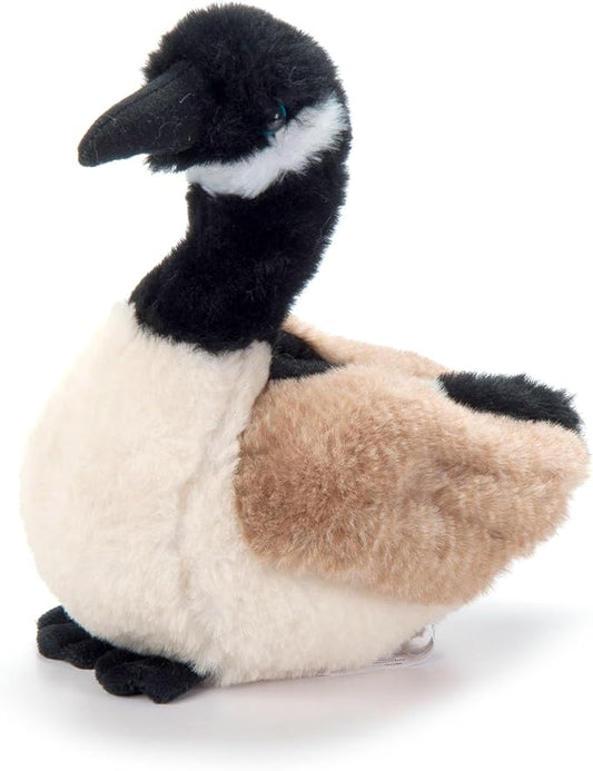 WILD CANADA GOOSE