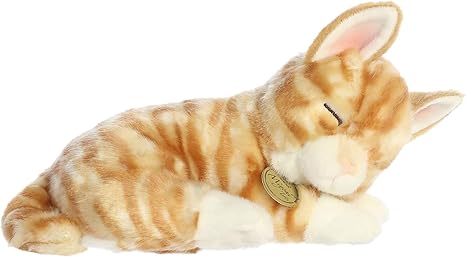 SLEEPY ORANGE TABBY KITTEN