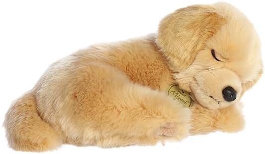 SLEEPY GOLDEN RETRIEVER PUP