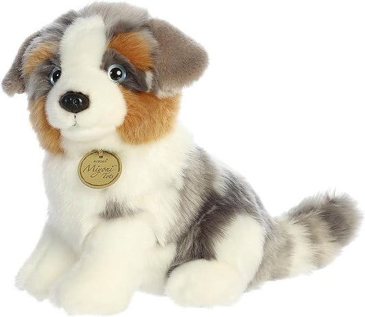 AUSTRALIAN SHEPHERD PUP