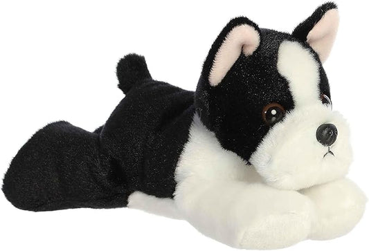 EVA BOSTON TERRIER