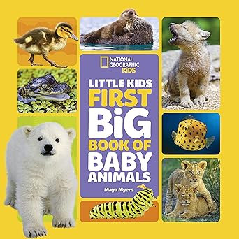 LITTLE KIDS BIG FIRST BOOK OF BABY ANIMALS