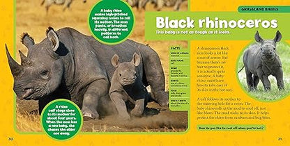 LITTLE KIDS BIG FIRST BOOK OF BABY ANIMALS
