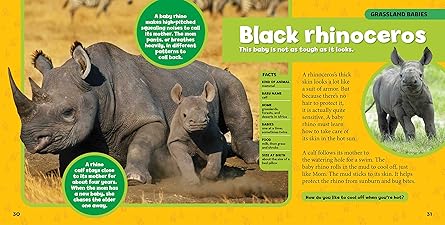 LITTLE KIDS BIG FIRST BOOK OF BABY ANIMALS