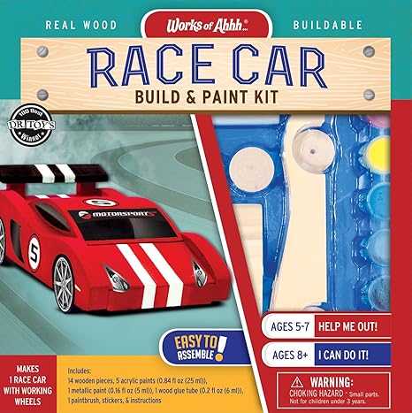 RACE CAR BULD AND PAINT