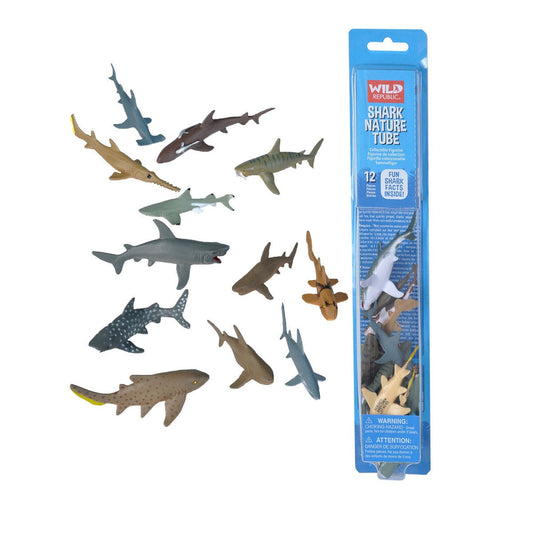 NATURE TUBE SHARK