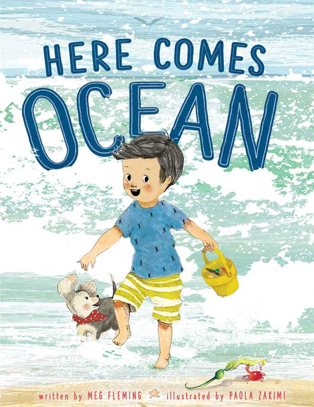 Here Comes Ocean by Meg Fleming: Hardcover; 40 pages / English