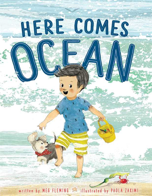 Here Comes Ocean by Meg Fleming: Hardcover; 40 pages / English