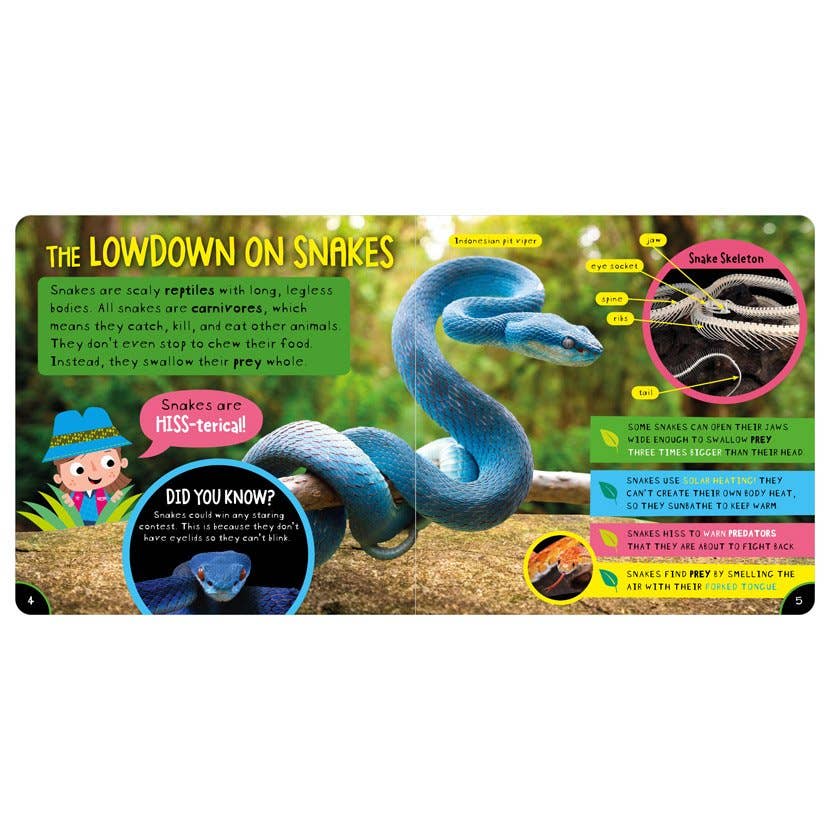 Non-Fiction Book Amazing Snakes