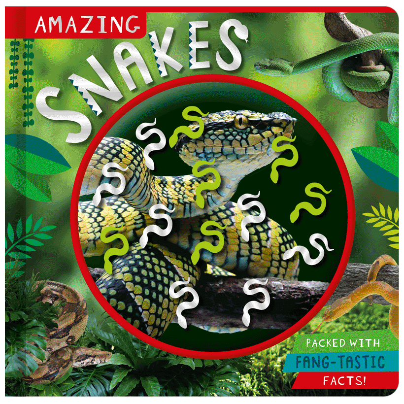 Non-Fiction Book Amazing Snakes