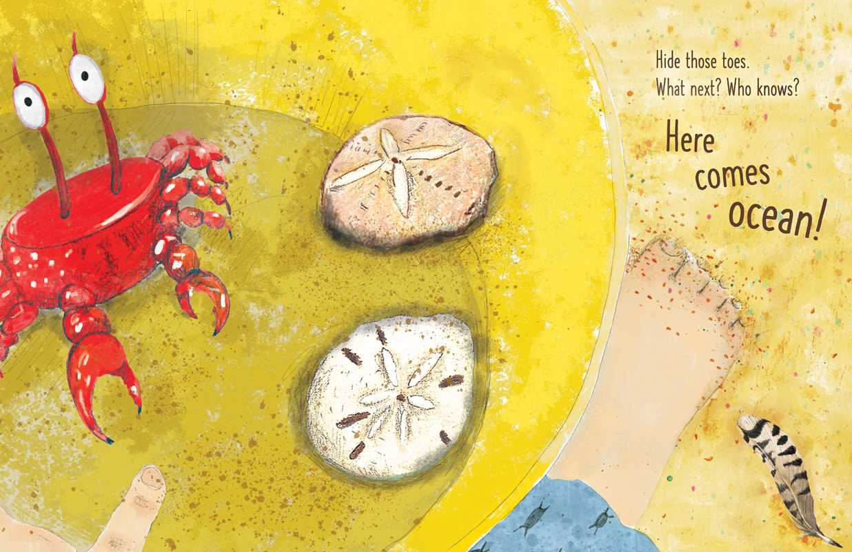 Here Comes Ocean by Meg Fleming: Hardcover; 40 pages / English