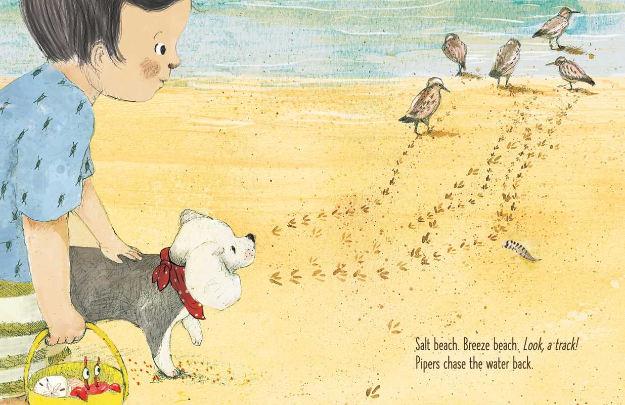 Here Comes Ocean by Meg Fleming: Hardcover; 40 pages / English