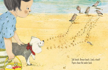 Here Comes Ocean by Meg Fleming: Hardcover; 40 pages / English